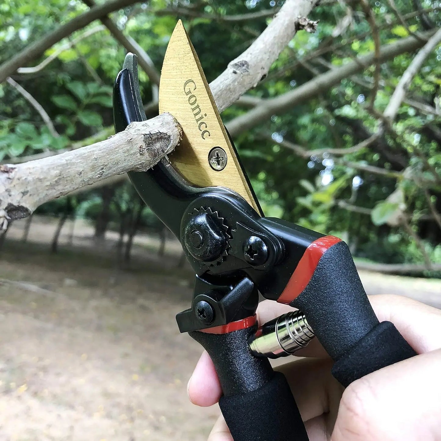 Titanium-Coated Bypass Pruning Shears | SK5 Steel | Arthritis-Friendly | Safety Lock | Ultra-Sharp