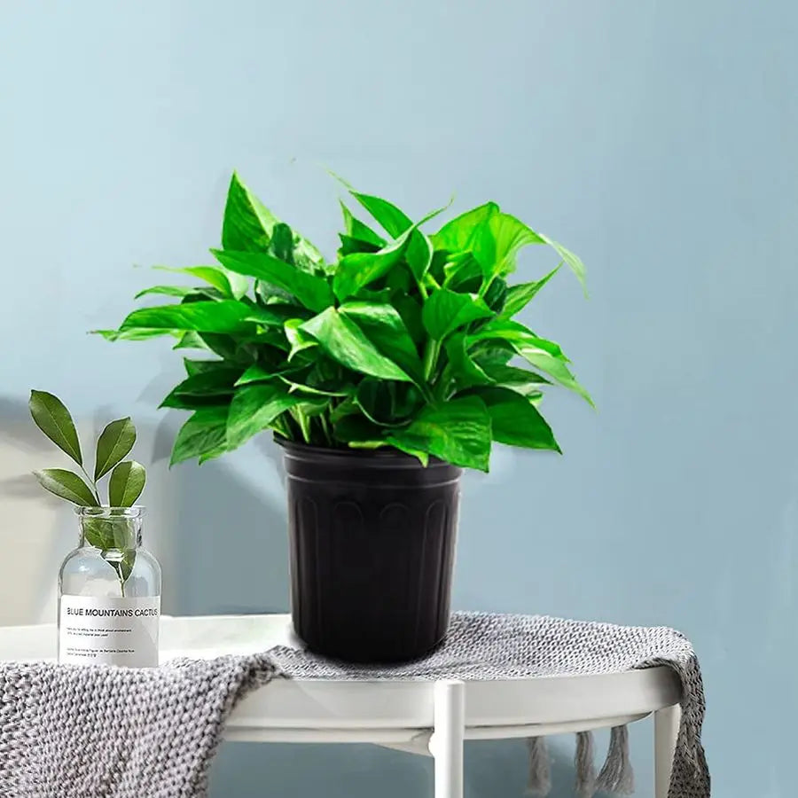 1-Gallon Plastic Nursery Pots | 100-Pack | Drainage Holes | Flexible & Stackable | StriveRiseFit
