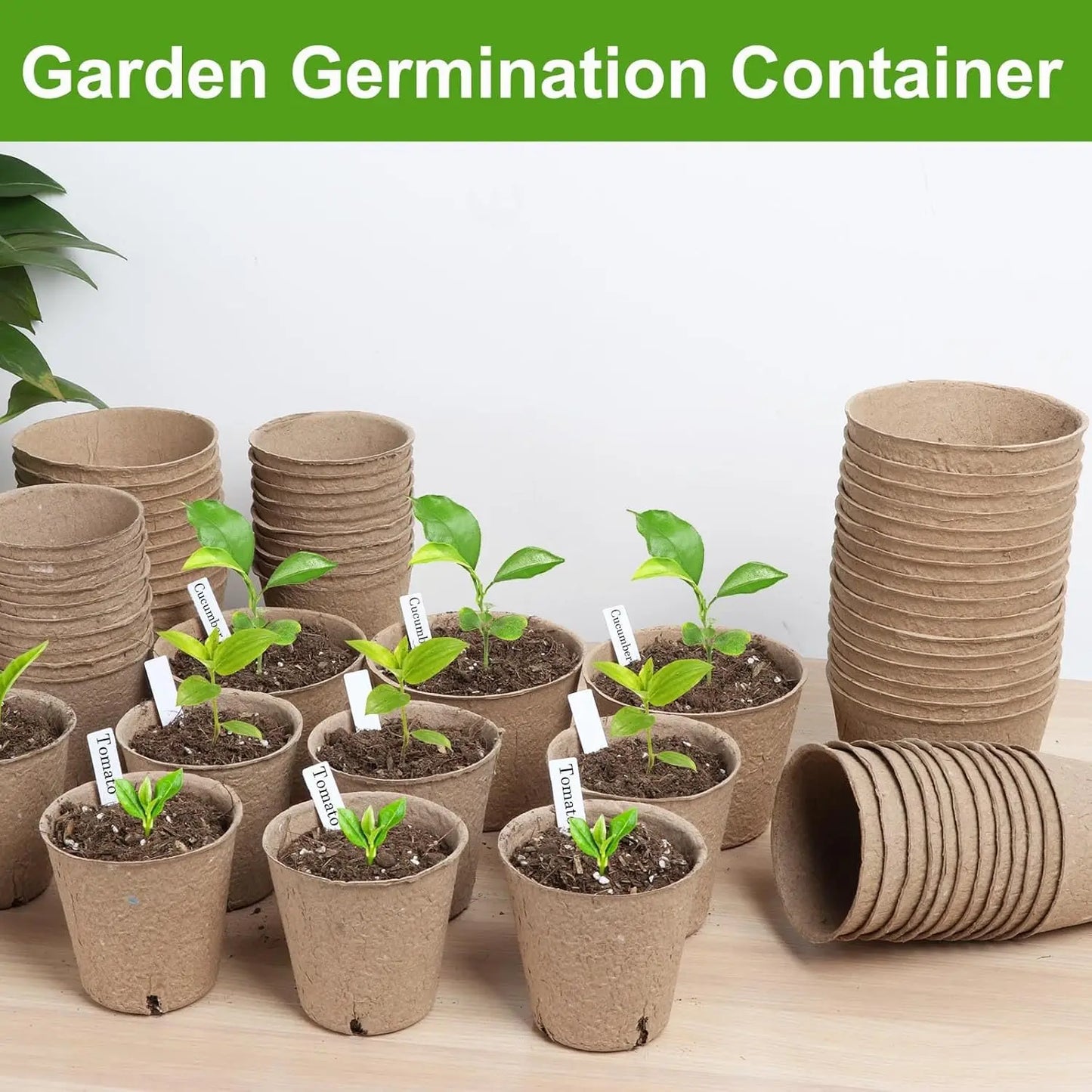 Organic Peat Pots | 132-Pack | 4-Inch | Drainage Holes + Labels | StriveRiseFit