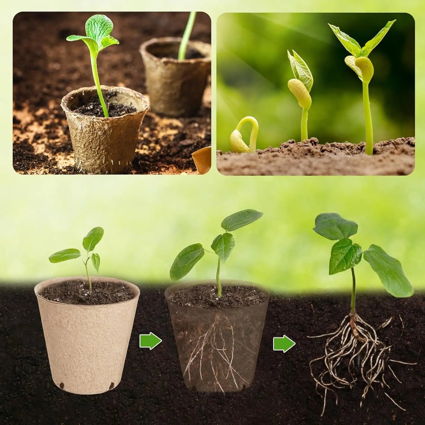 Organic Peat Pots Seed Starter Kit | 131-Pack + Labels | 3.15" | StriveRiseFit