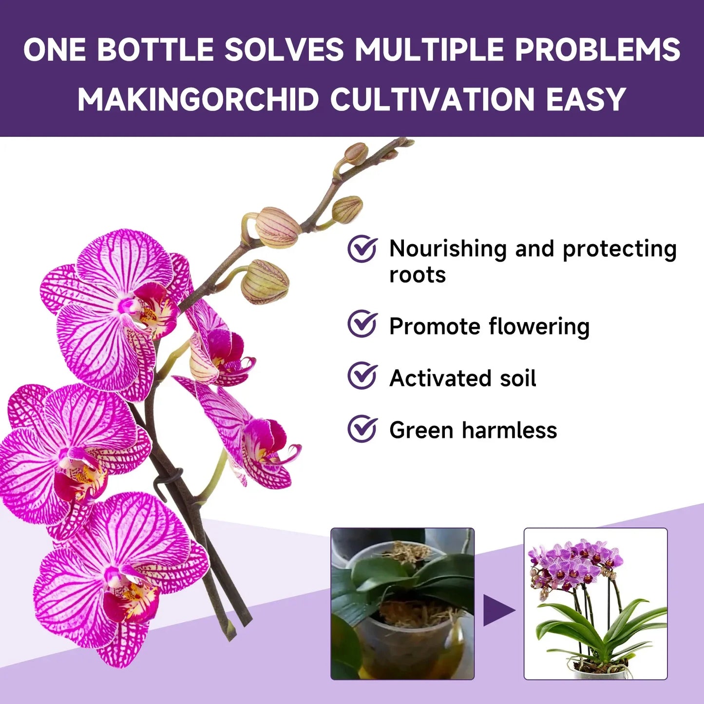 Orchid Liquid Plant Fertilizer | Hydroponic Nutrient Solution | 50ml | StriveRiseFit