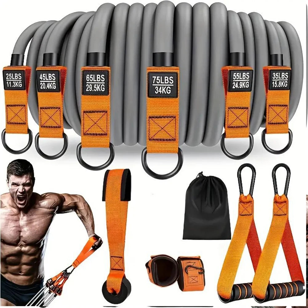 Resistance Bands ~ Fitness Bands Set ~ Heavy Duty Workout Bands with Handles ~ Weight Bands ~ Multi-Function for Strength Training Work Outs