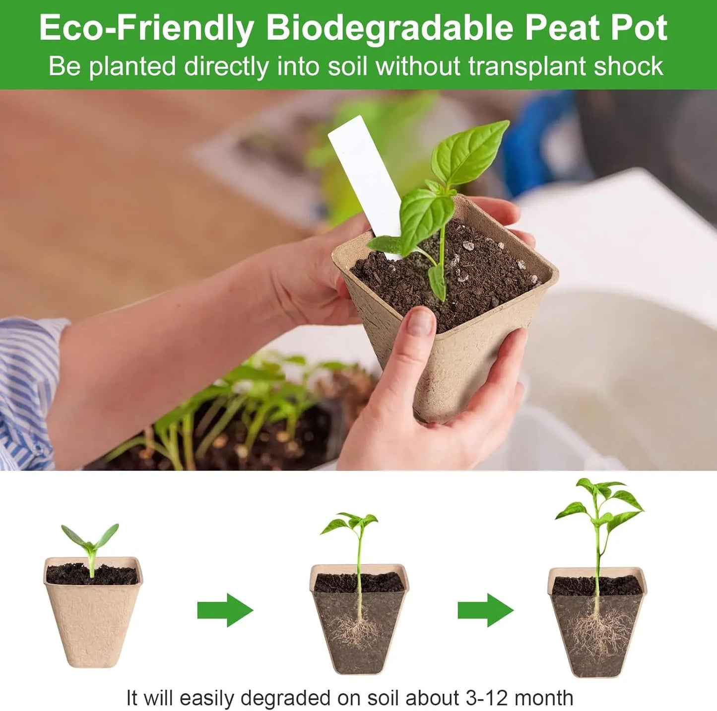 Square Biodegradable Peat Pots | 150-Pack + Labels | Seed Starting | StriveRiseFit