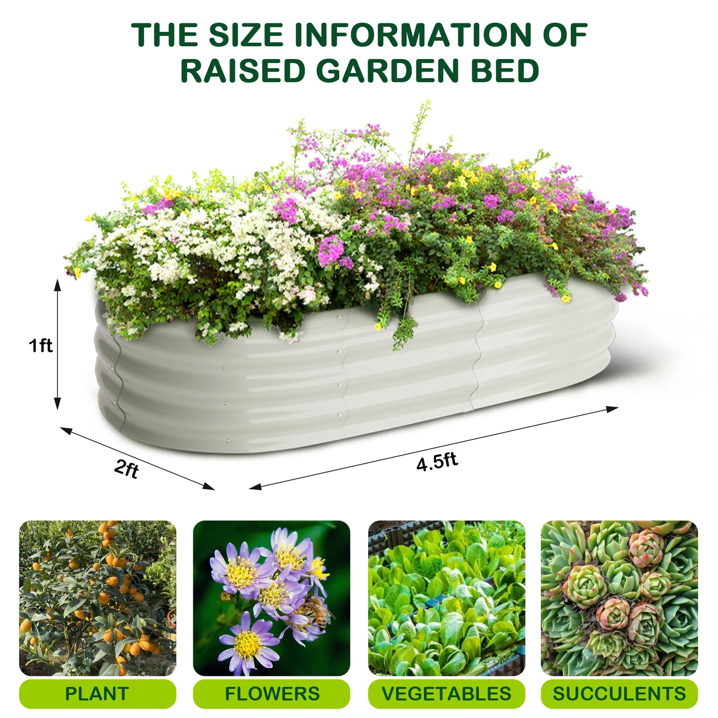 2-Pack Oval Raised Garden Bed — 4.5×2×1 ft Galvanized Steel | StriveRiseFit