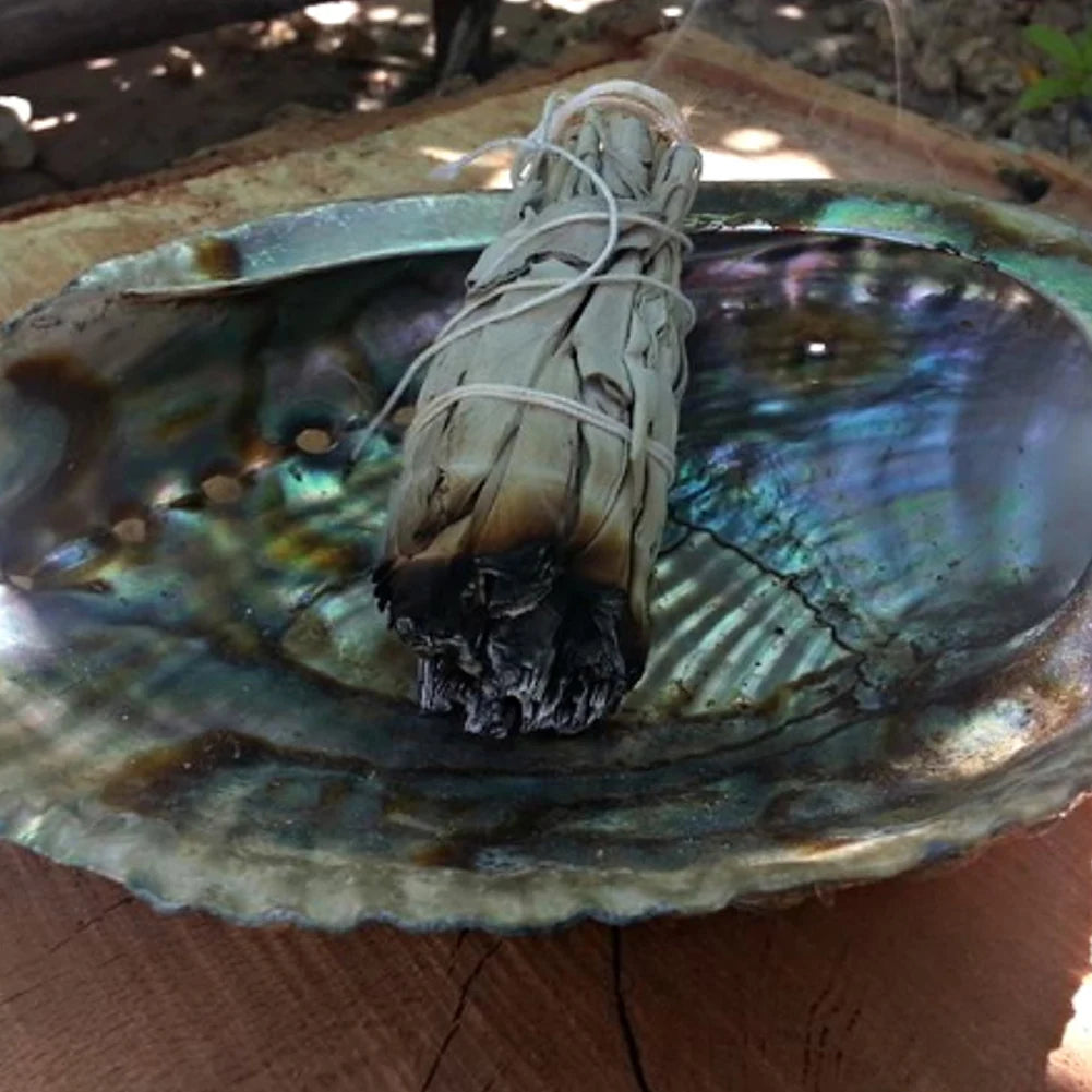 White Sage Smudge Stick Bundle Home Cleansing & Purification | StriveRiseFit