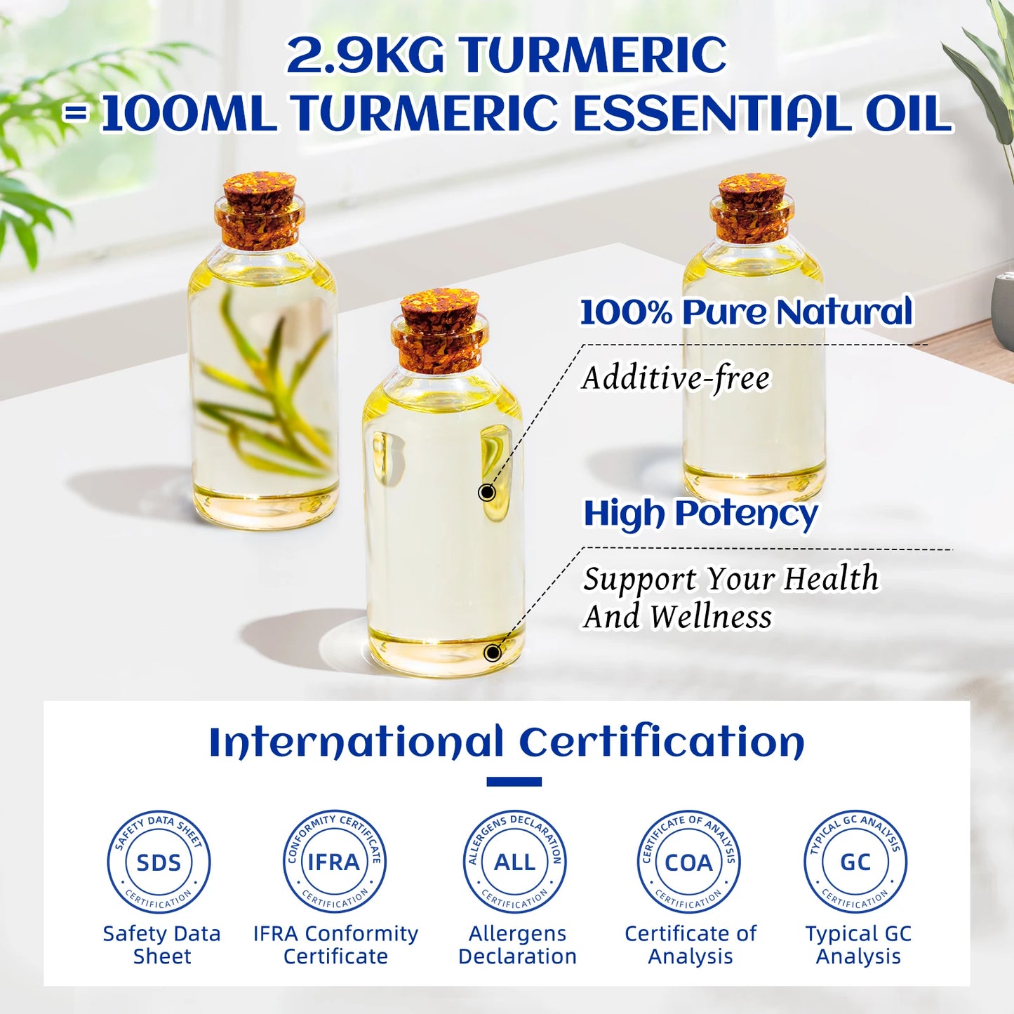 HIQILI Pure Essential Oils | 100ml Steam-Distilled, 11 Scents for Diffuser, Aromatherapy & Wellness