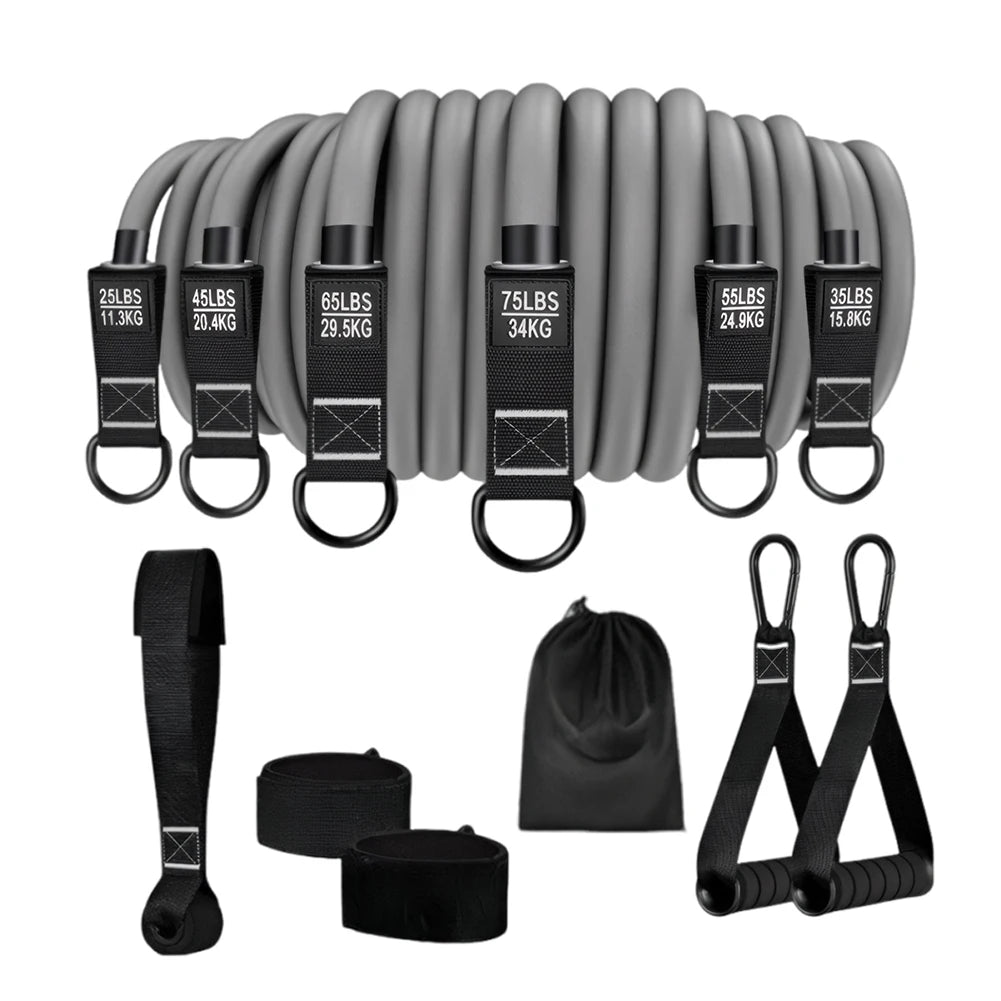 Resistance Bands ~ Fitness Bands Set ~ Heavy Duty Workout Bands with Handles ~ Weight Bands ~ Multi-Function for Strength Training Work Outs