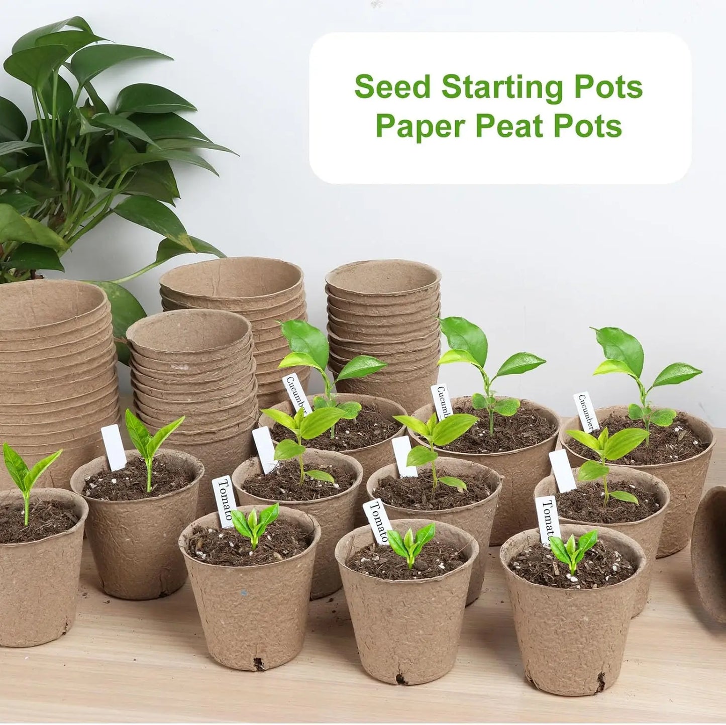 Organic Peat Pots Seed Starter Kit | 131-Pack + Labels | 3.15" | StriveRiseFit
