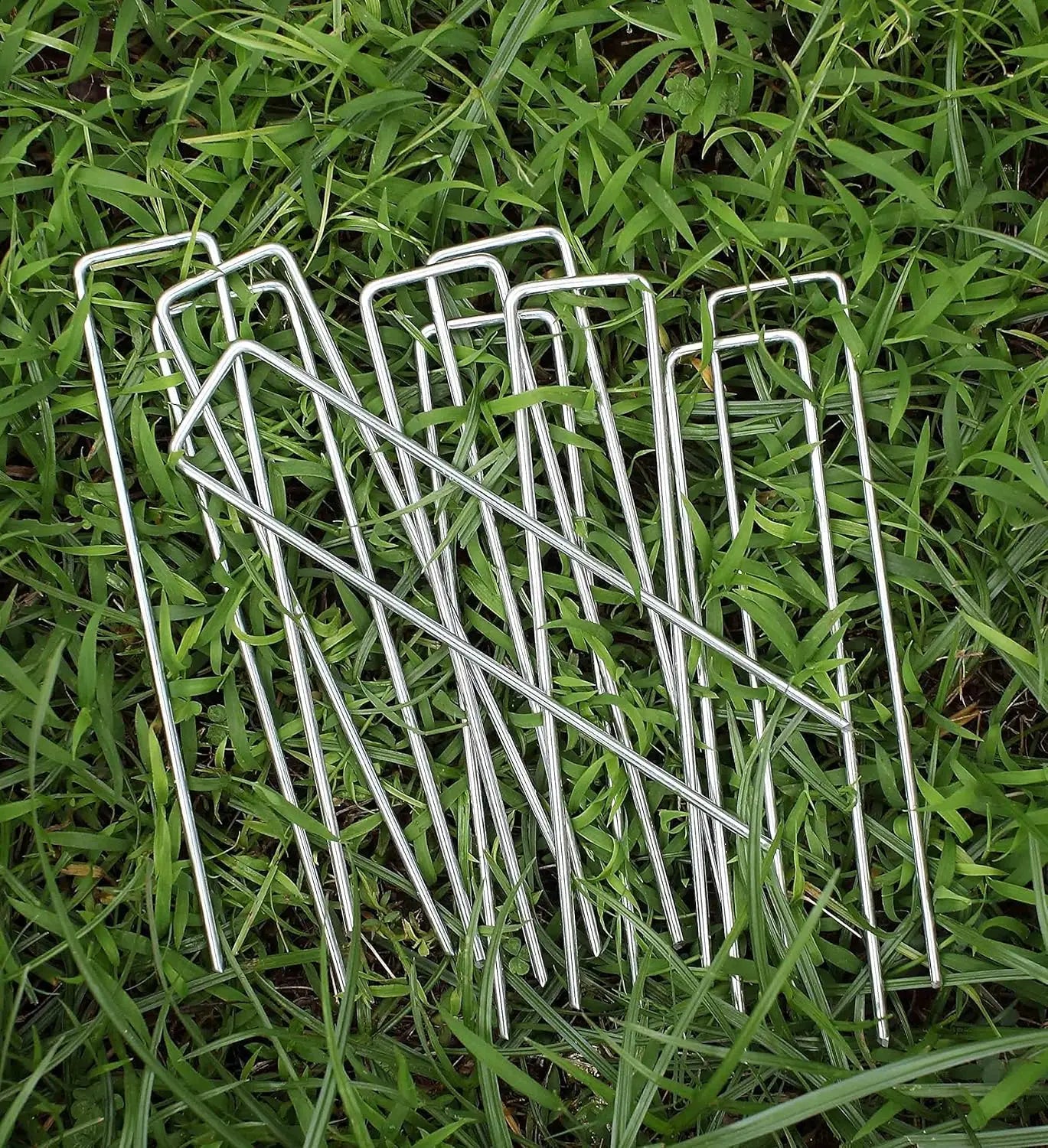 Galvanized Garden Landscape Staples | 6" Heavy-Duty U-Pins | 10-Pack | Weed Fabric, Turf & Netting