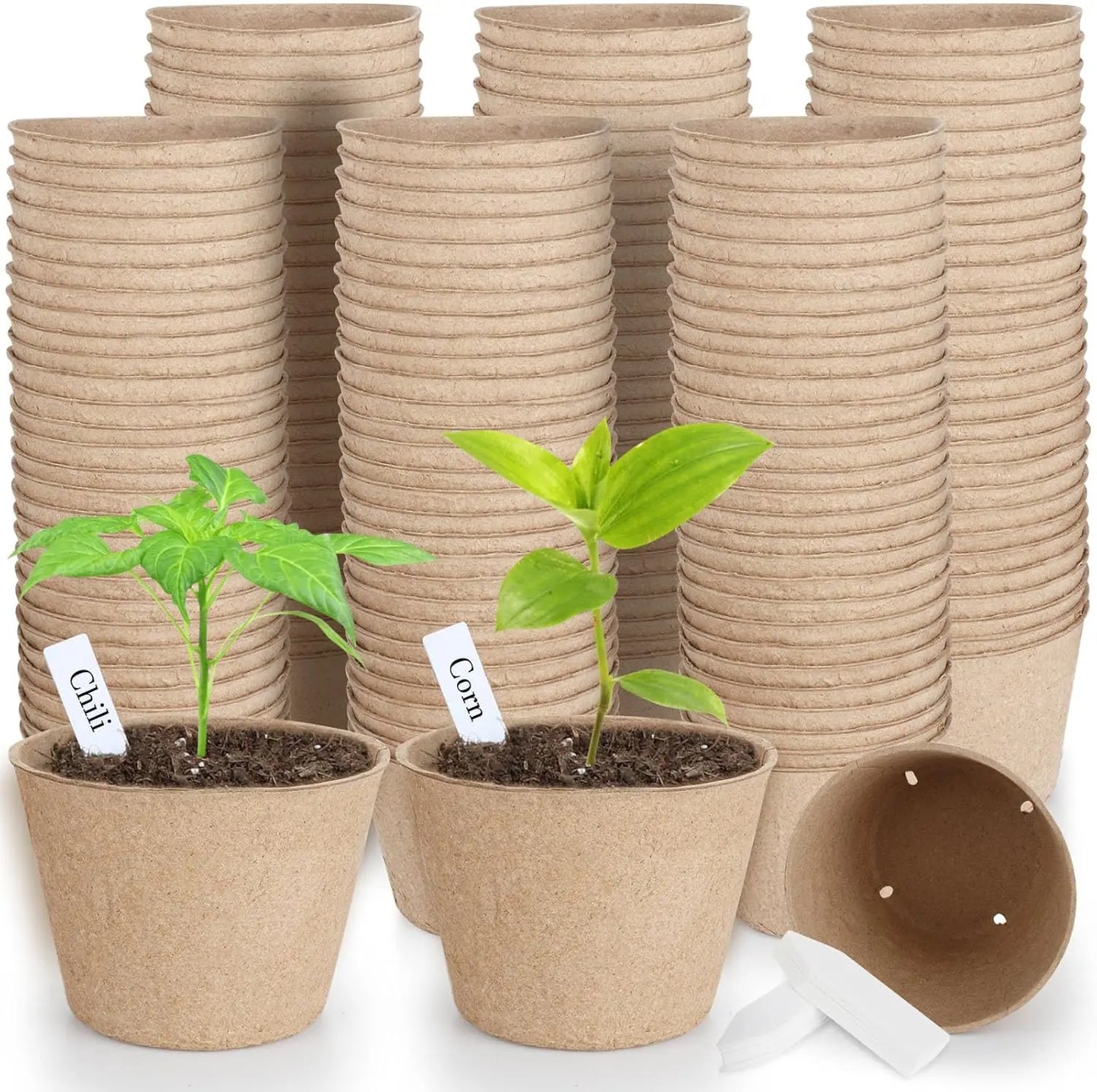 Organic Peat Pots | 132-Pack | 4-Inch | Drainage Holes + Labels | StriveRiseFit