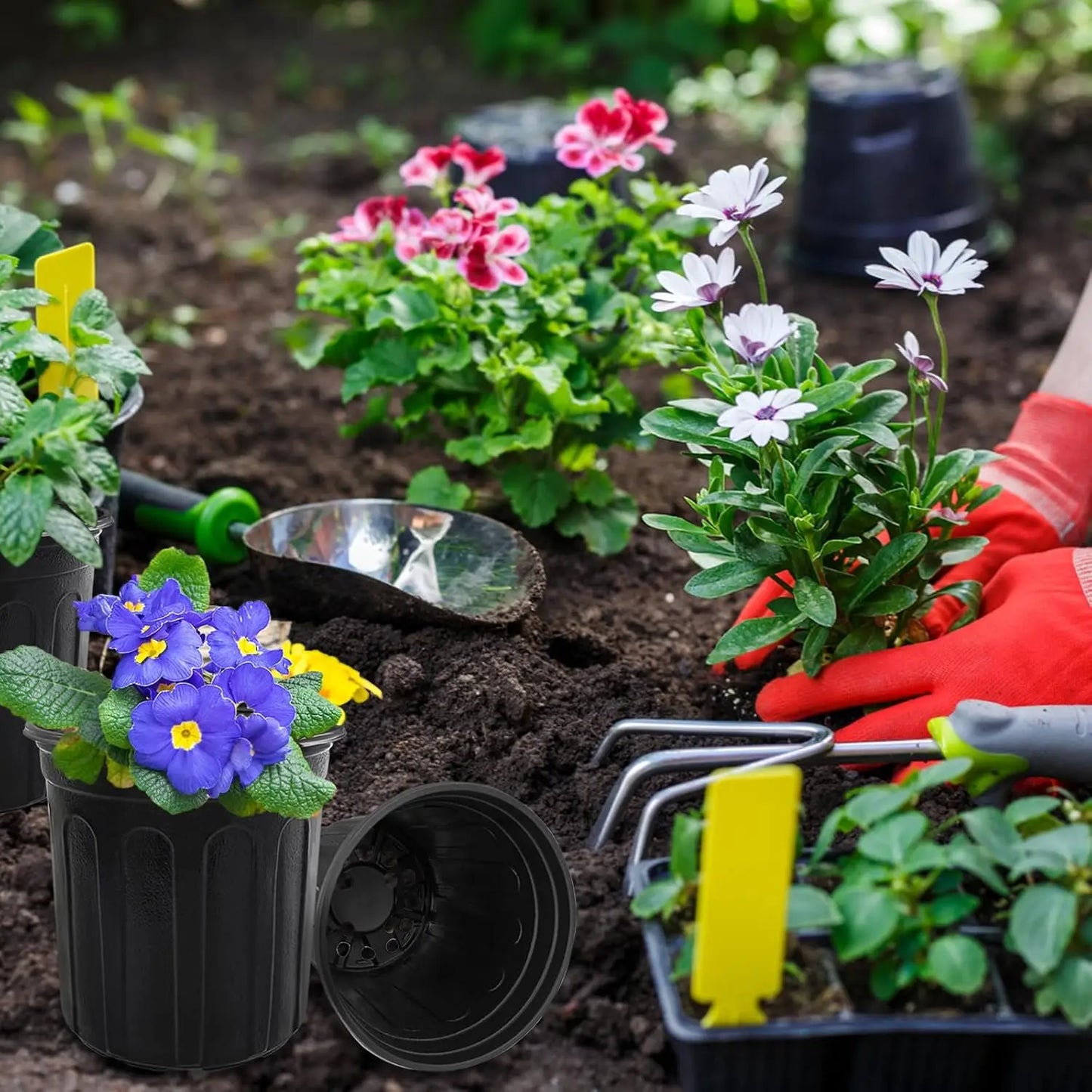 1-Gallon Black Nursery Pots | 60-Pack | Drainage Holes | Reusable | StriveRiseFit