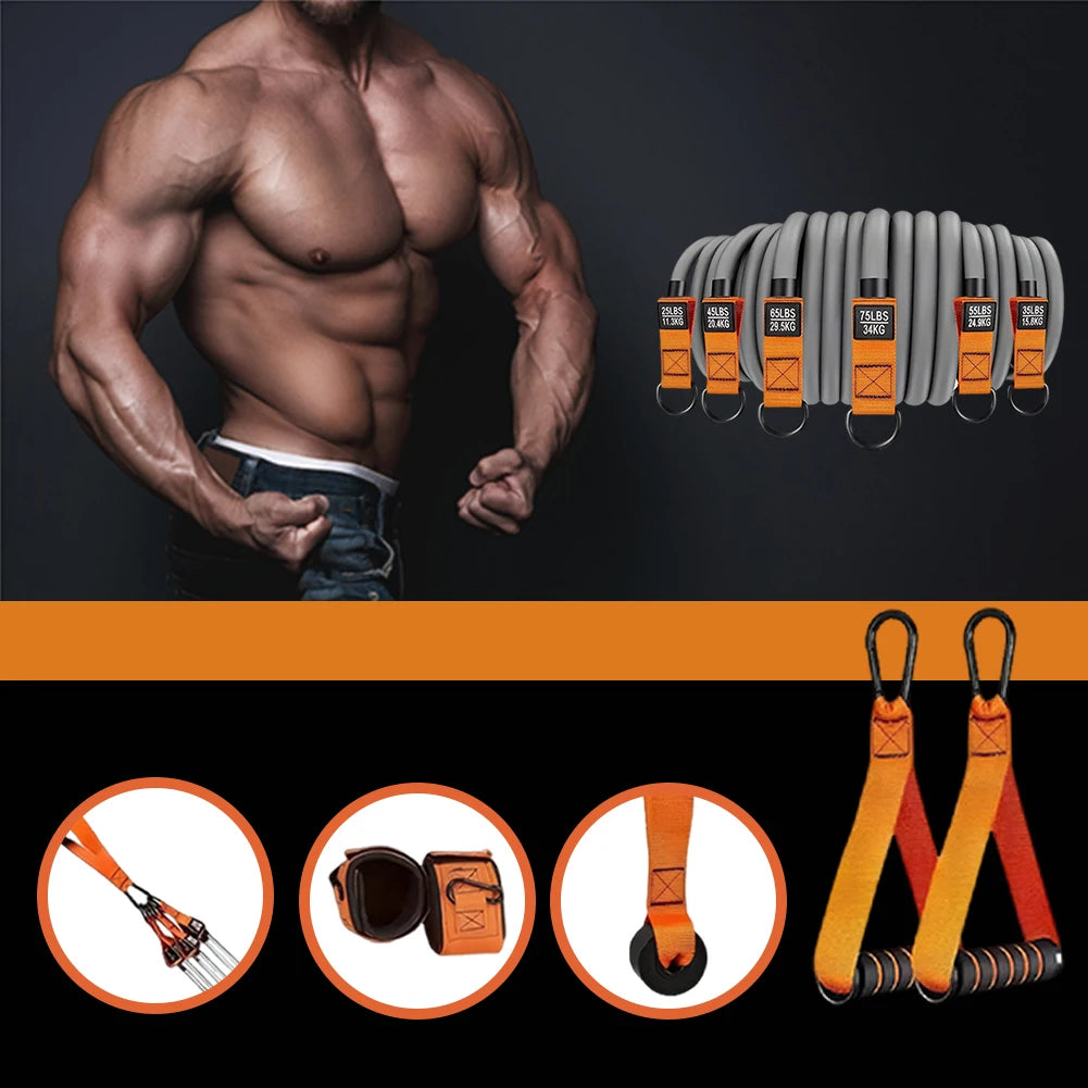 Resistance Bands ~ Fitness Bands Set ~ Heavy Duty Workout Bands with Handles ~ Weight Bands ~ Multi-Function for Strength Training Work Outs