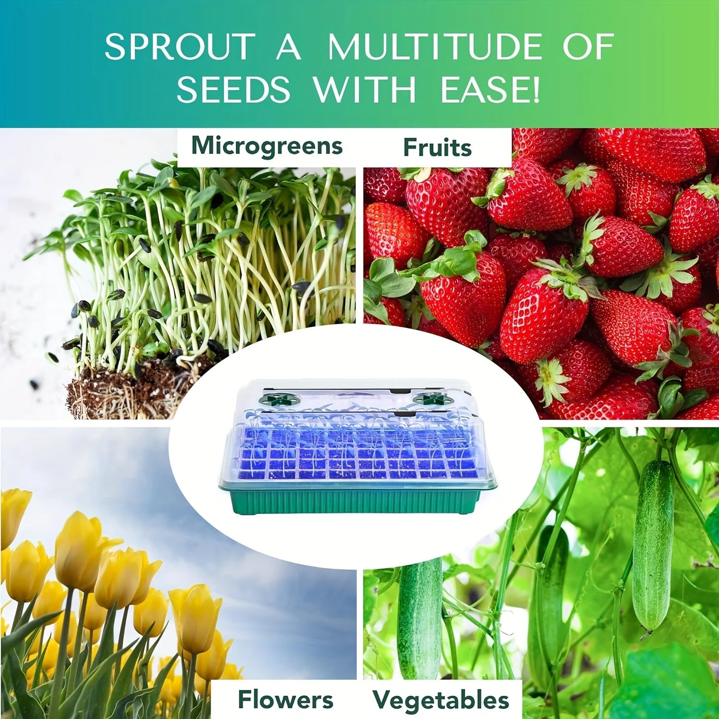 Seed Germination Tray Kit | 4 Sets | 160 Cells | LED Grow Lights & Timer | StriveRiseFit