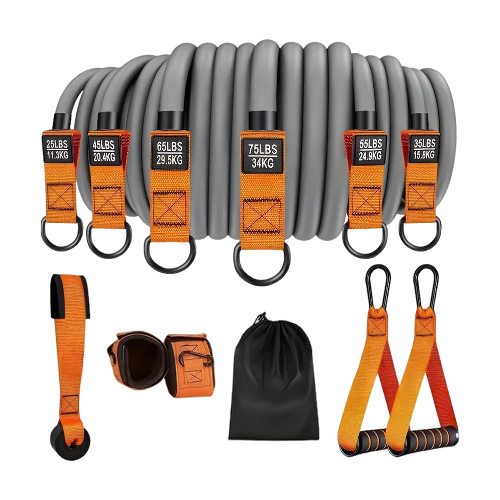 Resistance Bands ~ Fitness Bands Set ~ Heavy Duty Workout Bands with Handles ~ Weight Bands ~ Multi-Function for Strength Training Work Outs