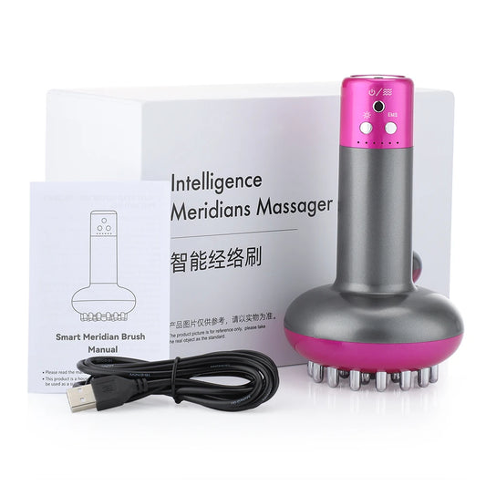 Intelligent Electric Meridian Brush ~ EMS Micro Current Vibrating Red Light Beauty Apparatus for Whole Body ~ Home Portable Massage
