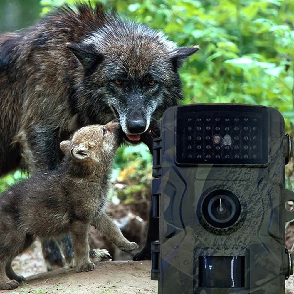 Hunting Trail Camera — Waterproof IR Night Vision, Motion Activated | StriveRiseFit
