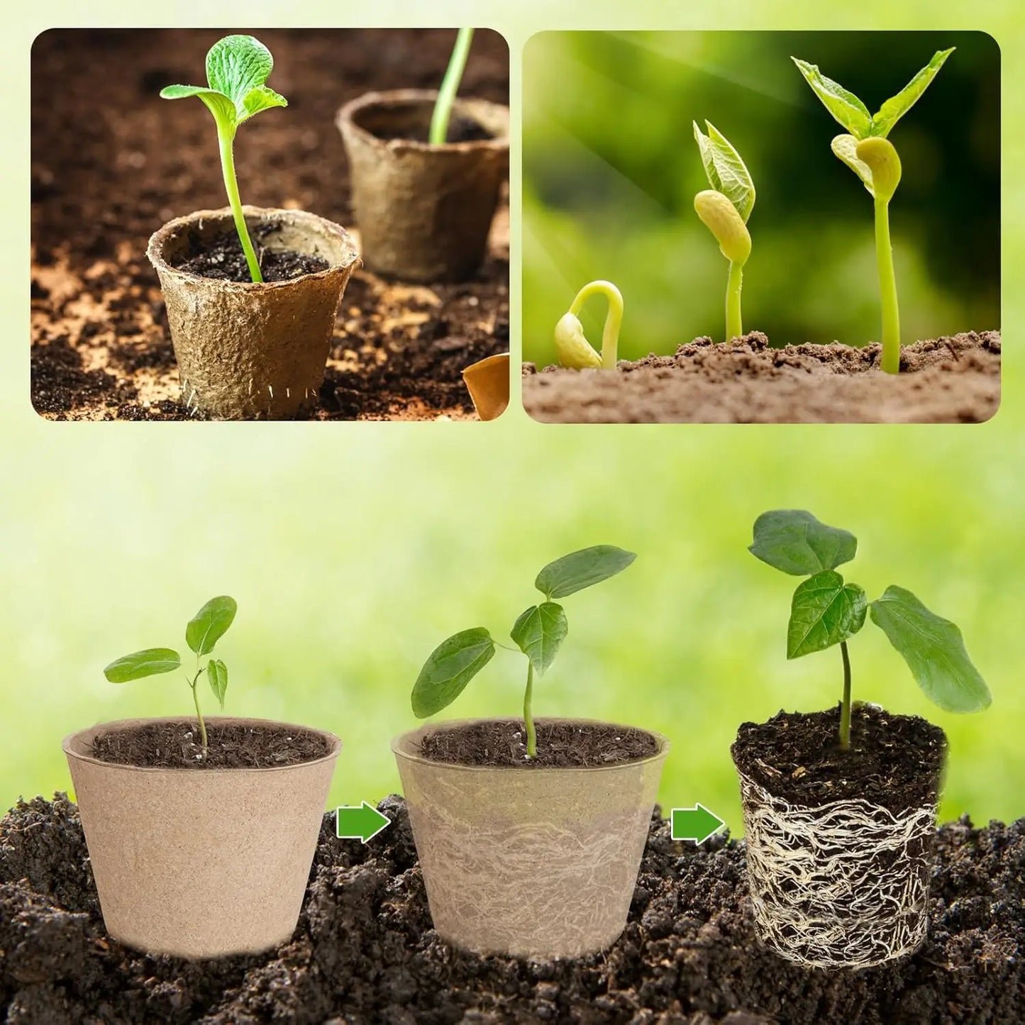 Organic Peat Pots | 132-Pack | 4-Inch | Drainage Holes + Labels | StriveRiseFit