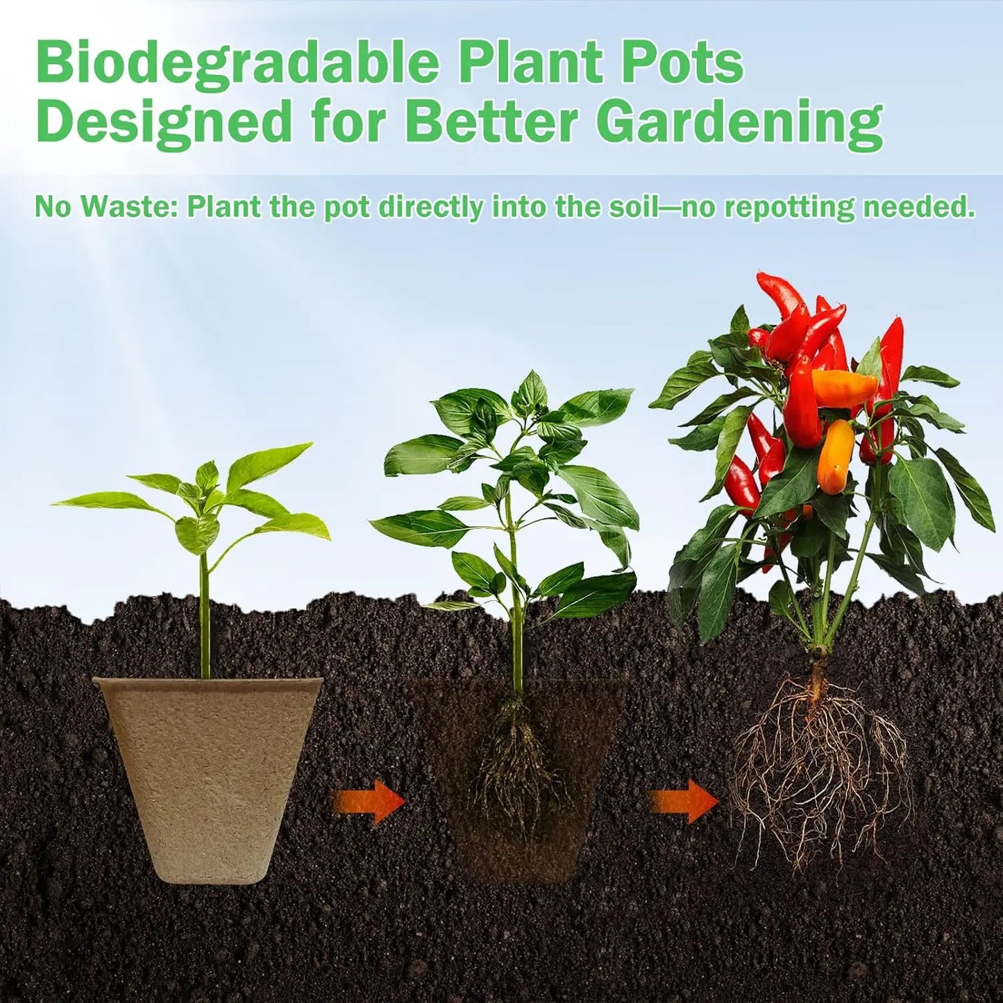 Biodegradable Peat Pots Seed Starting Kit | 70 Pots + 100 Labels | 3.15" | StriveRiseFit